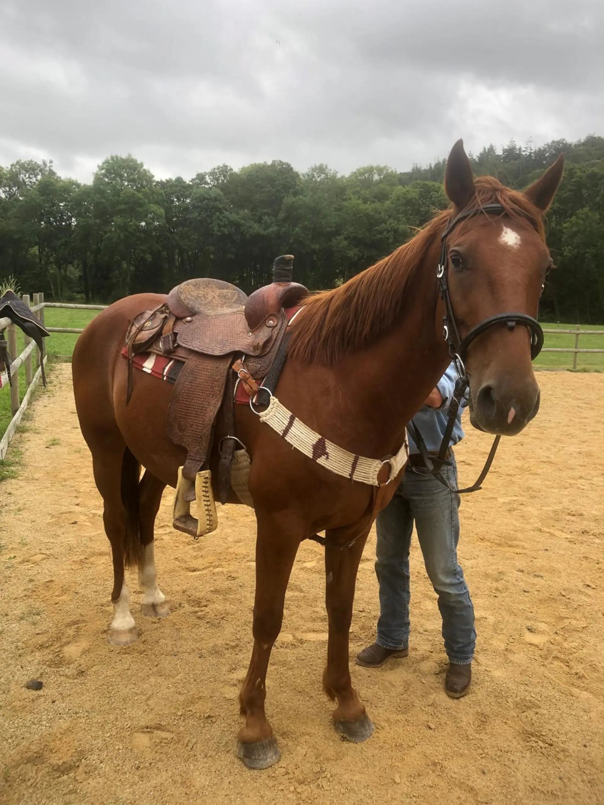 Vacances avec son cheval Bretagne - cavalier sellé dans la carrière du Dourdu à Lopérec