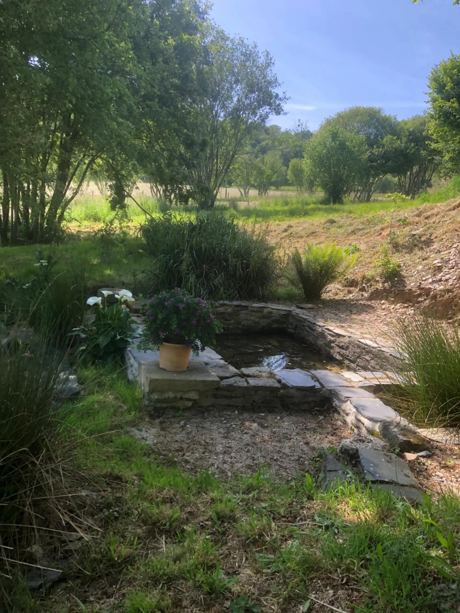 Bassin décoratif en pierre dans le jardin