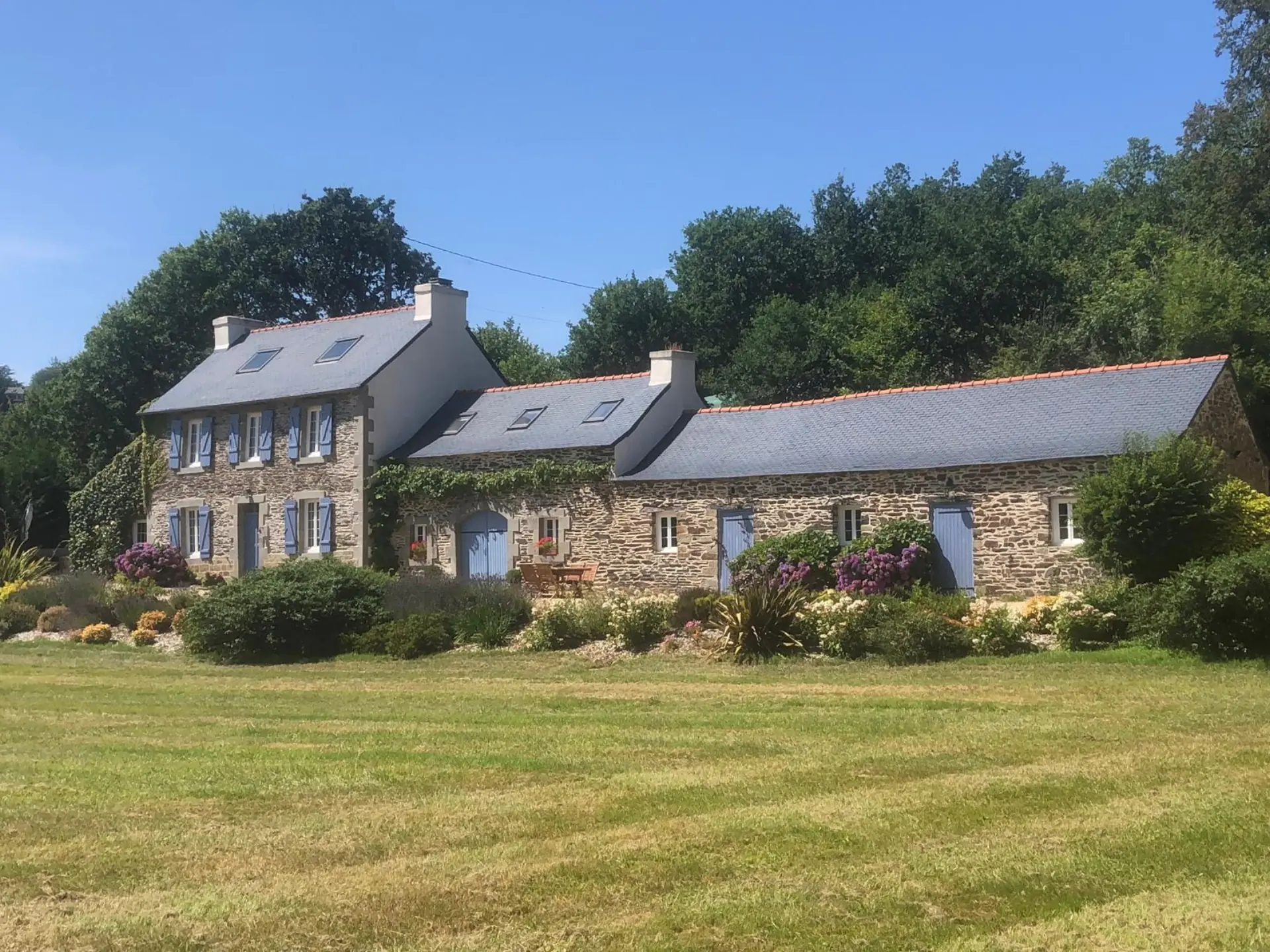 Vue d'ensemble de la propriété avec pelouse