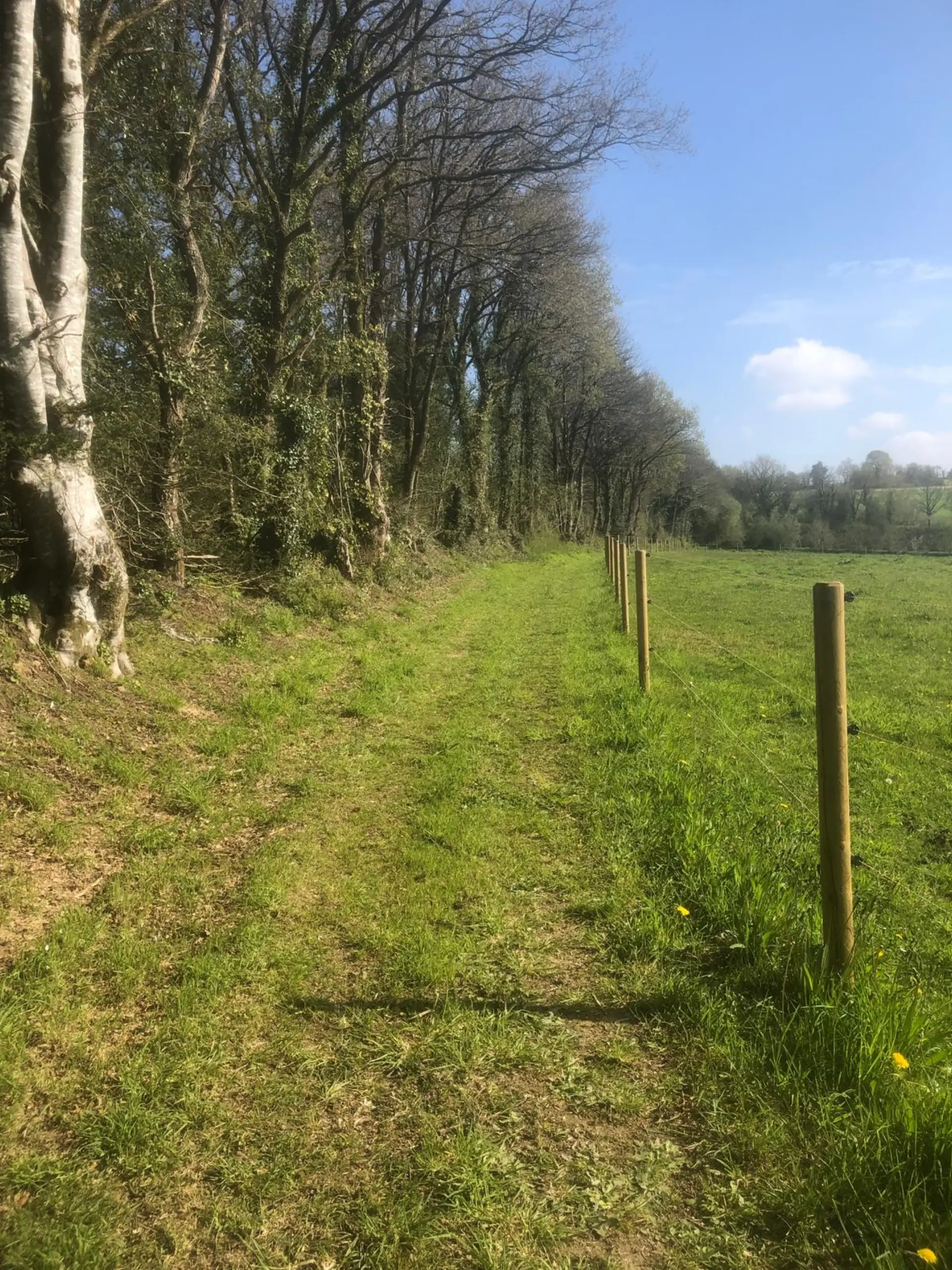 Chemin clôturé menant aux prés