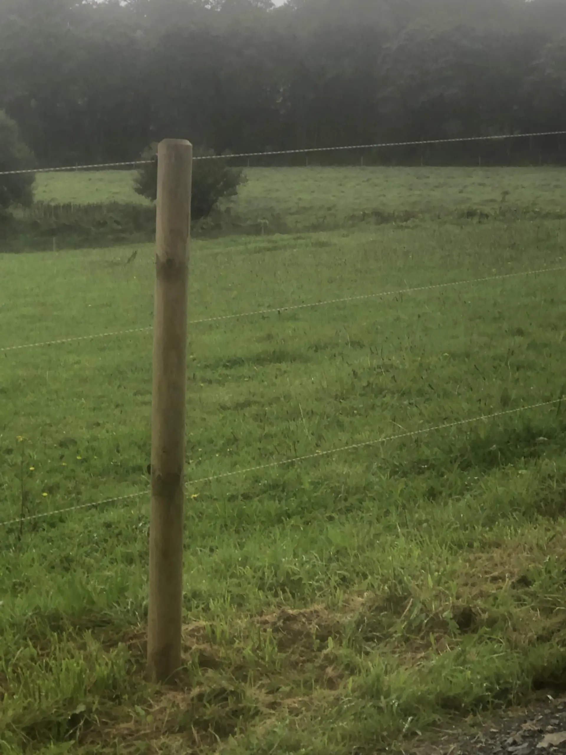 Pension paddock individuel clôturé bois Finistère