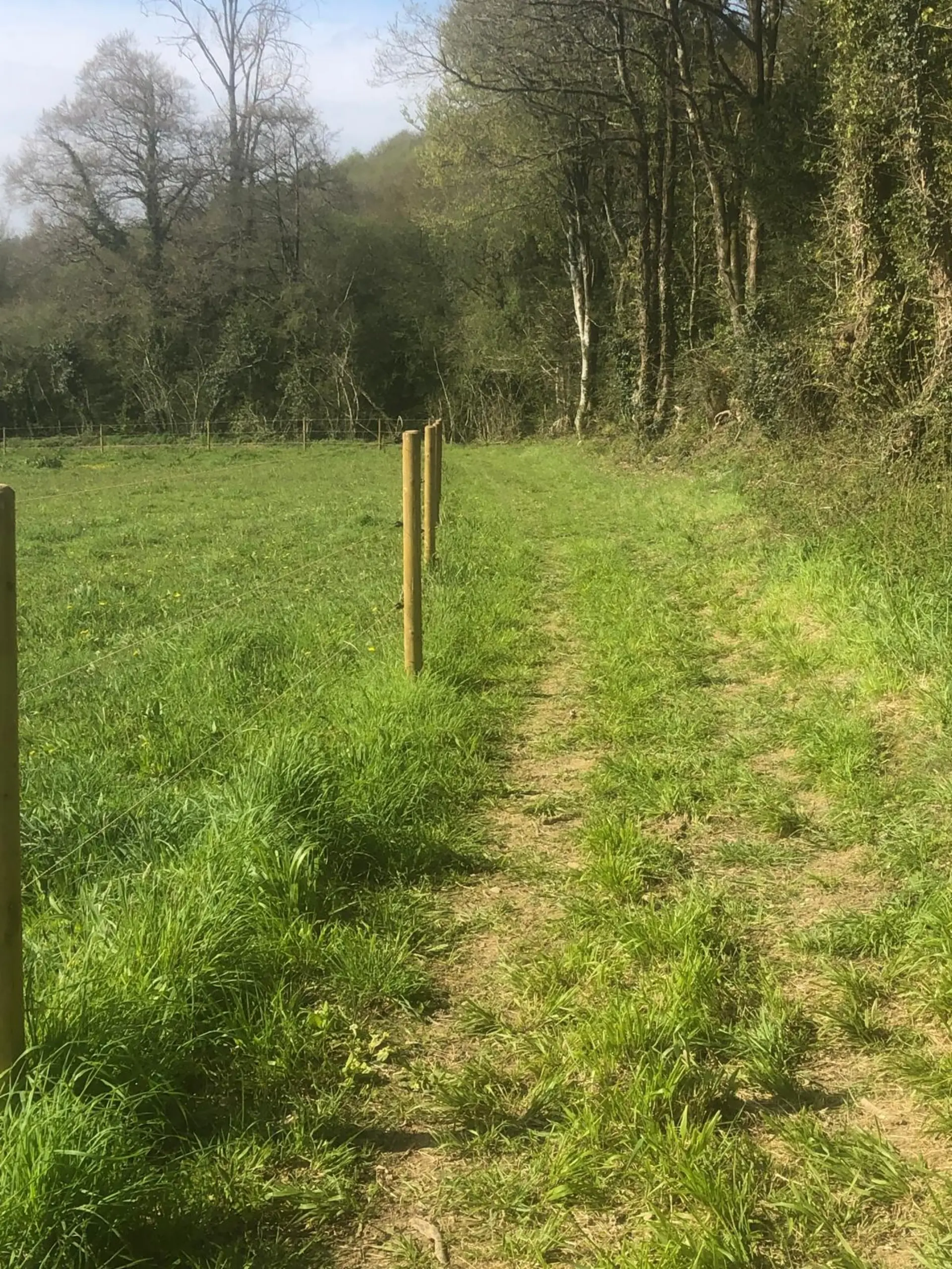 Sentier équestre forêt accès randonnée Monts d'Arrée pension